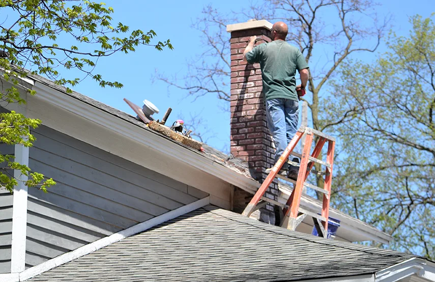 Chimney & Fireplace Inspections Services in Mission Bend, TX